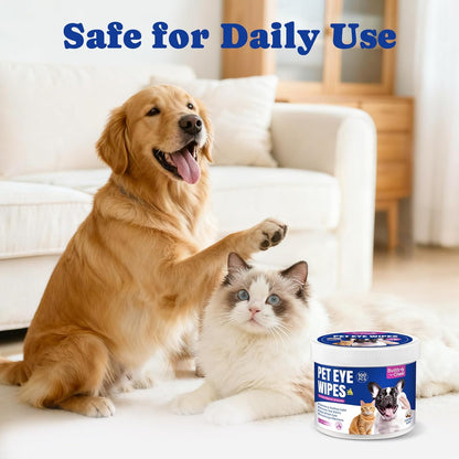 No-Rinse Dog Dental Care Wipes, Cat & Dog tooth brushing kit, Dog Wipes for Pet & Cat Teeth Cleaning, Dog toothbrush Finger Dental Wipes to Remove Plaque & Tartar, Disposable Dog Wipes - 50 Count