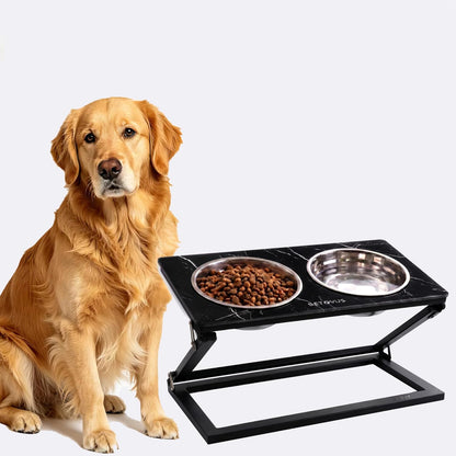Elevated Dog Bowls, Adjustable Raised Dog Bowl Stand with 2 Stainless Steel Food Bowls 20°Tilted Water Bowls for Medium Small Sized Dogs (Black, Medium)