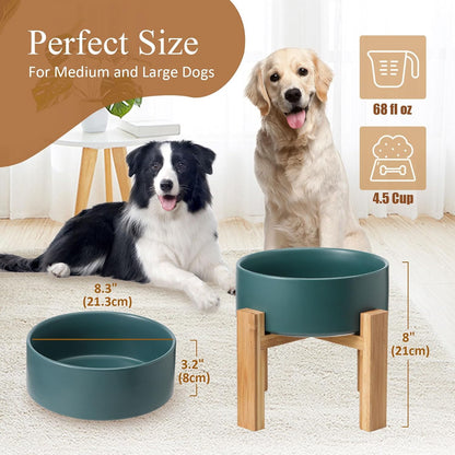 Elevated Ceramic Cat Bowl - Cat Food Bowl with Bamboo Stand - Raised Dog Dish for Puppies - Anti Vomiting, Stress Free - 13.5 oz / 400 ml - White