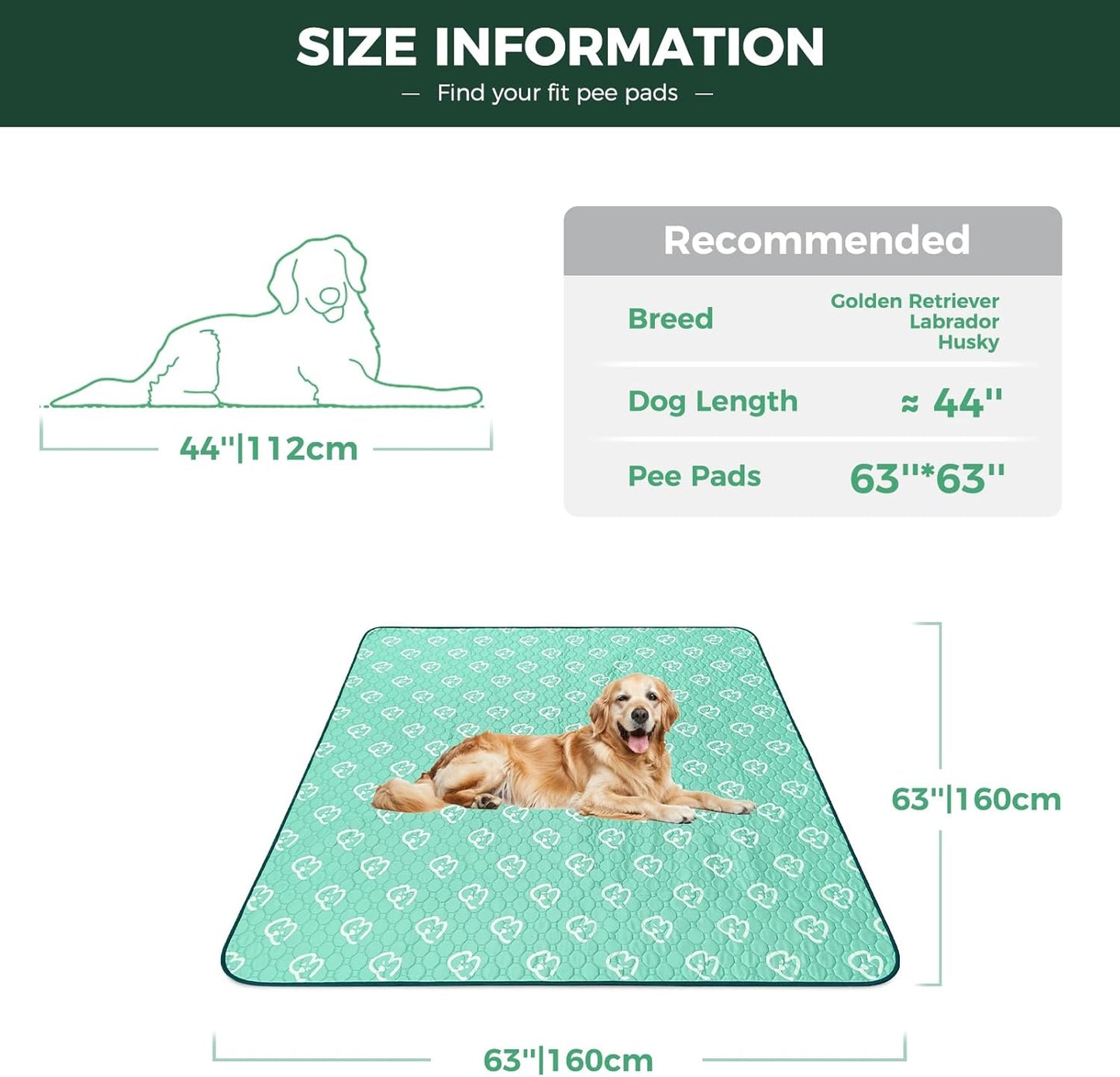 FXW Washable Pee Pads for Dogs, Puppy Pads with Super Absorbent, Specifically Designed for FXW Rollick/Homeplus 24inch 6 Panels Dog Playpen, 39" x 63" Rectangle, Khaki, 1 Pack