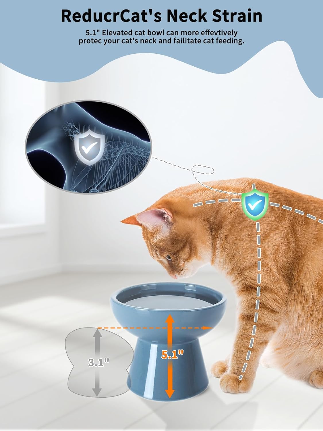 LoeJan Elevated Cat Food and Water Bowls Set, Extra Wide and Raised Ceramic Bowls, Anti-Vomit Whisker-Free Pressure Cat Feeder for Kittens to Adult Cats and Small Dogs (White, Water Bowl)