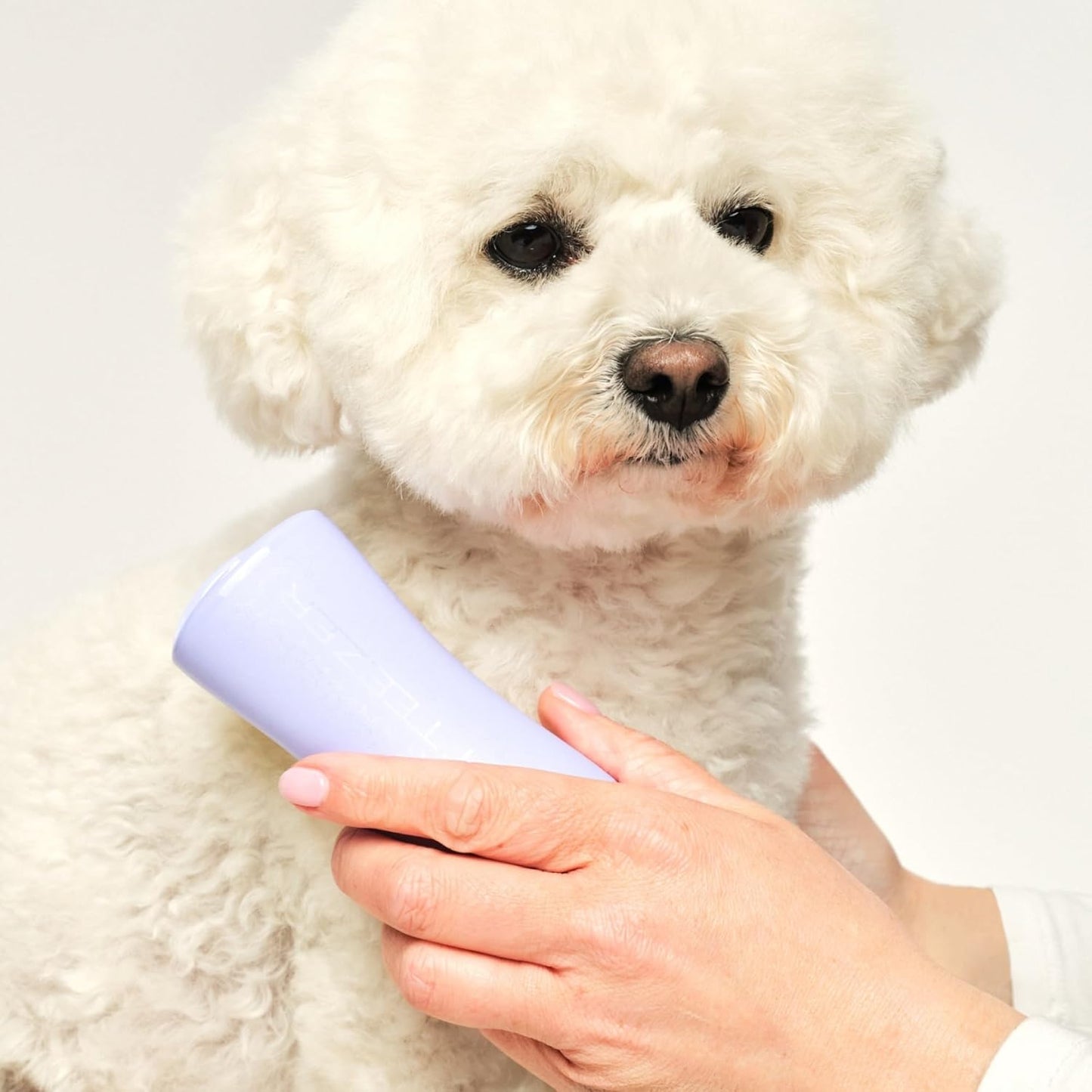 Pet Teezer Detangling Dog Grooming Brush, Dog Bath Brush for Long Haired Breeds and Wet or Dry Fur, Large, Navy & Orange