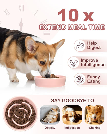TRUVIC Ceramic Slow Feeder Dog Bowls Small Breed, 0.6 Cup Slow Feeder Cat Bowls for Fast Eaters, Ceramic Dog Food Dish no Black Chin, Puzzle Bowl for Small Dogs and Cats, White
