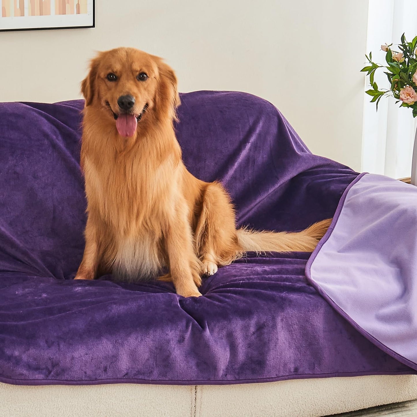 Waterproof Blanket 60"x80" for Adults, Reversible Waterproof Bed Cover for Dogs Cats Pets, Soft Leakproof Blanket for Bed Couch Sofa Furniture Protector, Dusty Pink/Off White
