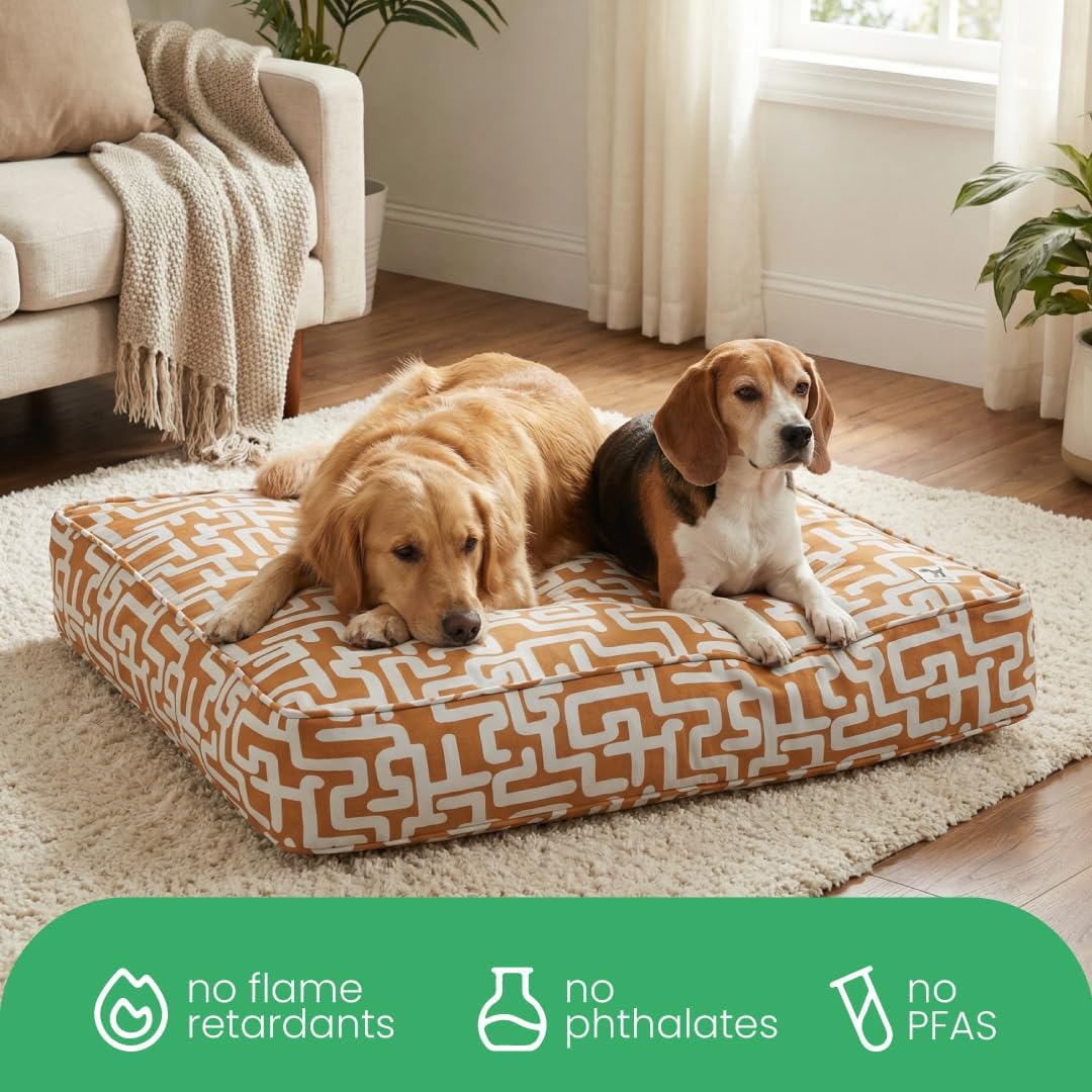 Molly Mutt Medium to Large Dog Bed Cover- Forever Young Print - Measures 27”X36”X5’’ - 100% Cotton - Durable - Breathable - Sustainable - Machine Washable Dog Bed Cover (Dd82b)
