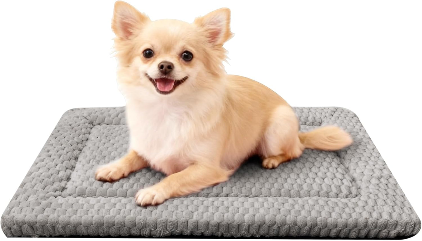 Dog Bed Mat, Reversible Crate Pad & Cute Dog Bed - Machine Washable Kennel Mat with Ultra Soft for Small Dogs (Cool/Warm), 24" x 18", Grey&Star
