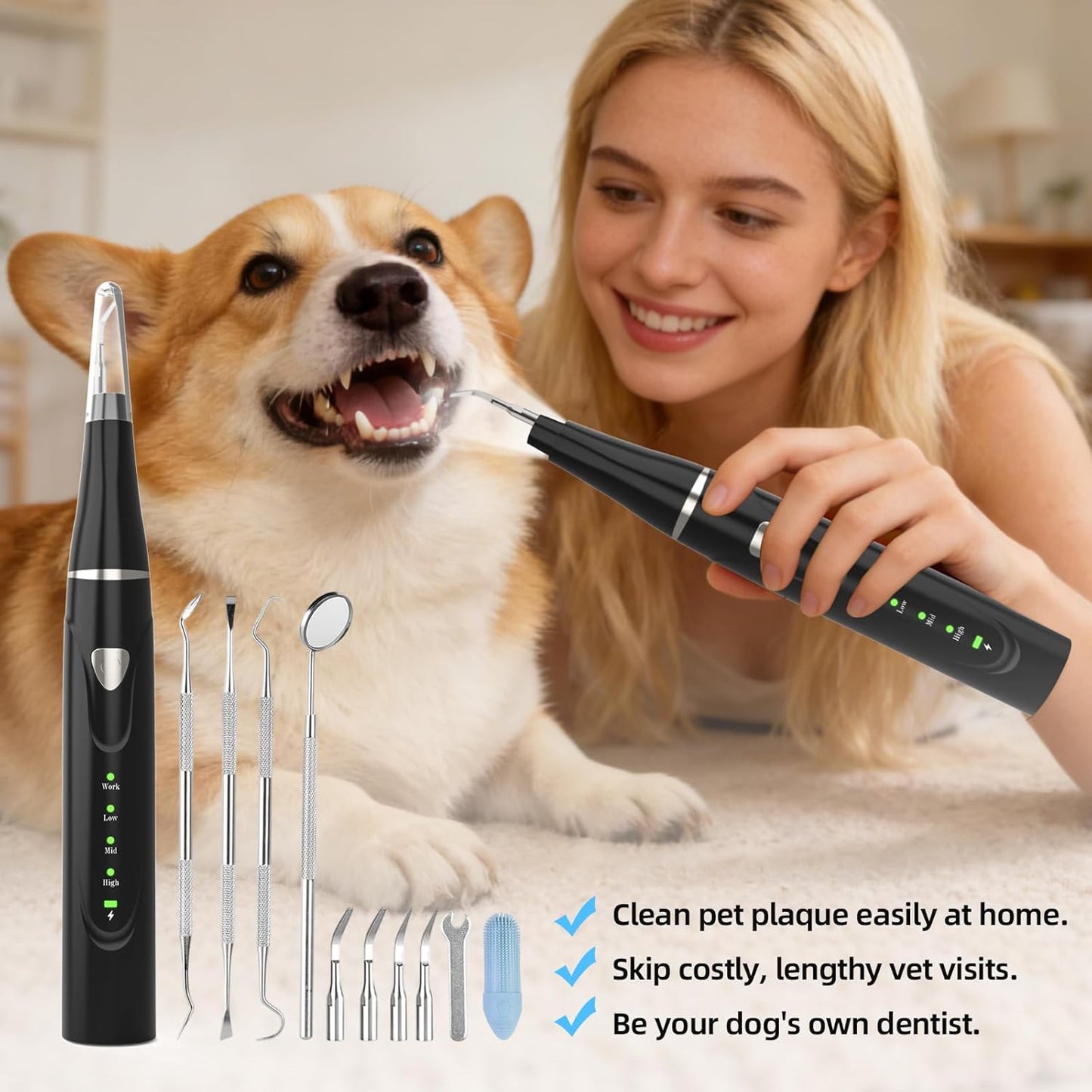 Plaque Remover for Teeth, Pet Ultrasonic Cleaner, Dog Plaque and Tartar Remover with LED Light, Dog Teeth Cleaning Dental Care Kit for Tartar and Stains, Suitable for Dogs and Cats (Black)