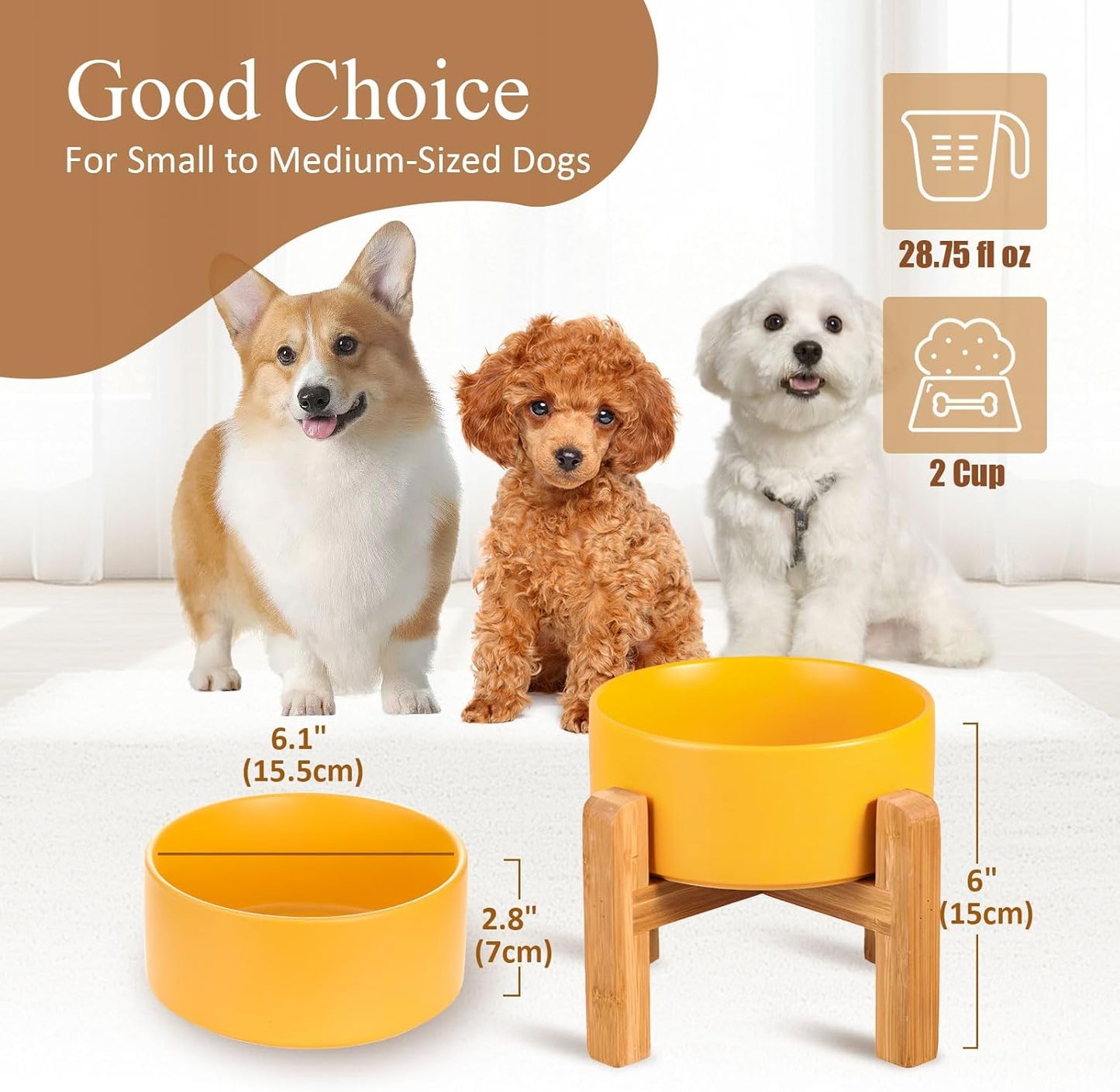 Elevated Ceramic Cat Bowl - Cat Food Bowl with Bamboo Stand - Raised Dog Dish for Puppies - Anti Vomiting, Stress Free - 13.5 oz / 400 ml - White