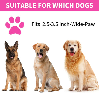 Professional 7 in 1 Dog Paw Cleaner for Dogs & Cats - Includes 1 Portable Paw Washer, 1 Bath Brush, 2 Dog Toothbrushes and 3 Absorbent Towels Note: Fits Paws up to 2 Inches Wide (Small, Blue)