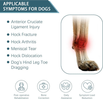 Dog Knuckling Brace, Dog Toe Grips for ACL Injury, Hock Fracture, Arthritis & Meniscus Tears, Rear Legs, L