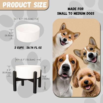Raised Ceramic Dog Bowl Set - Elevated Double Dishes with Stainless Steel Stand - Food and Water Bowls for Small to Medium Dogs - Each Holds 3.5 Cups (29.57 fl oz) - White