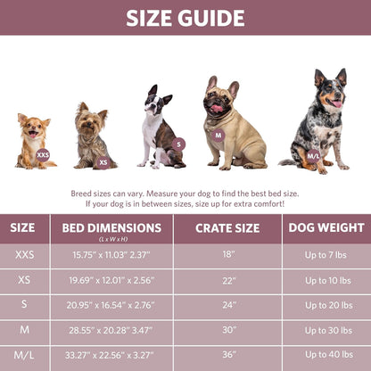 MidWest Homes for Pets QuietTime Dog Bed - White Fleece Bolster, Ultra-Soft and Machine Washable, Fits 24-Inch Crates and Carriers, for Small Breed Dogs