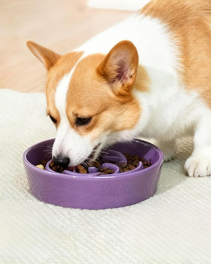 TRUVIC Ceramic Slow Feeder Dog Bowls Small Breed, 0.6 Cup Slow Feeder Cat Bowls for Fast Eaters, Ceramic Dog Food Dish no Black Chin, Puzzle Bowl for Small Dogs and Cats, White