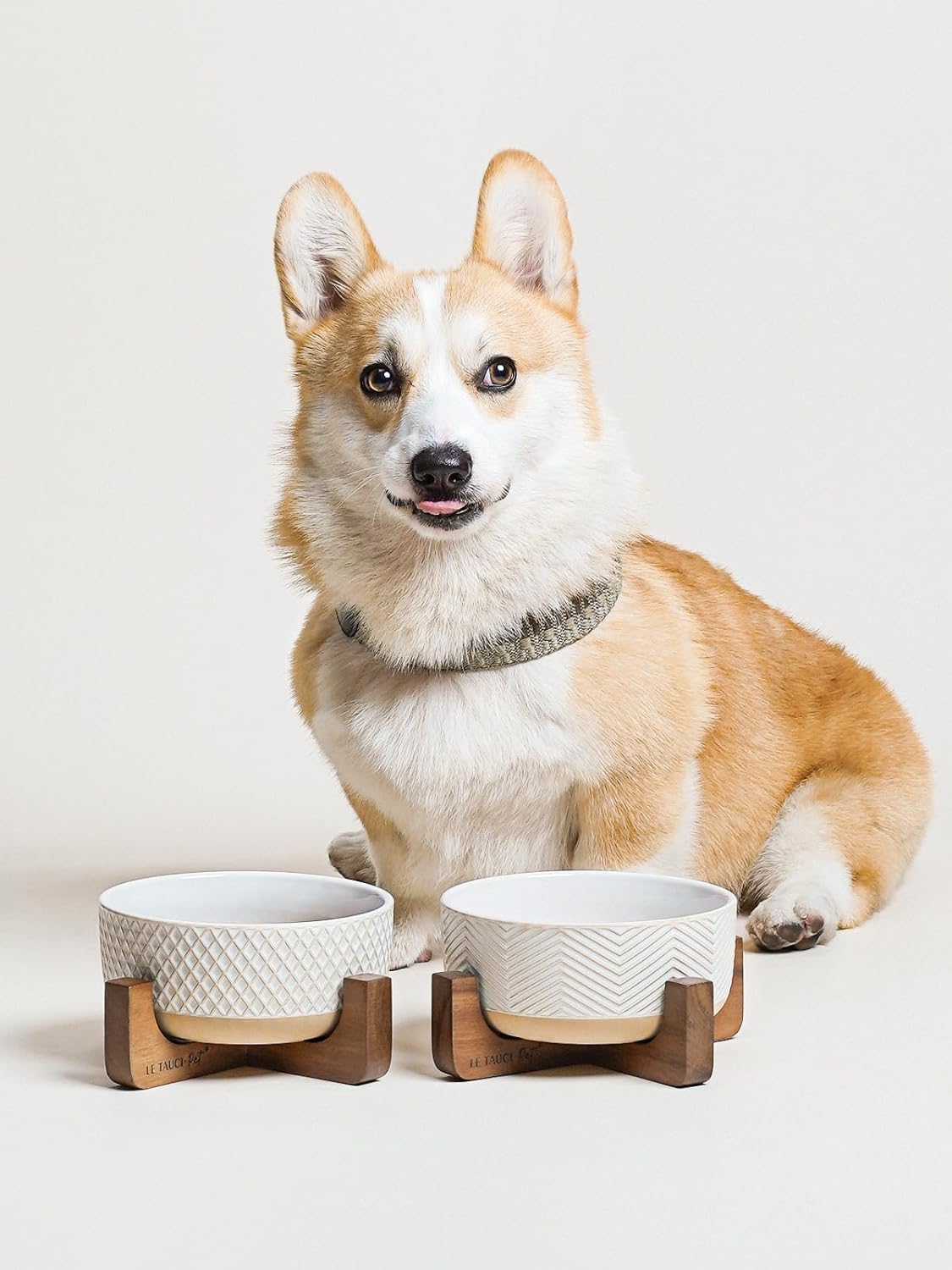 LE TAUCI PET Ceramic Dog and Cat Bowl Set with Acacia Wood Stand - 2 Cup Weighted Non-Slip Food and Water Bowls for Small Dogs & Cats, Lines + Dot