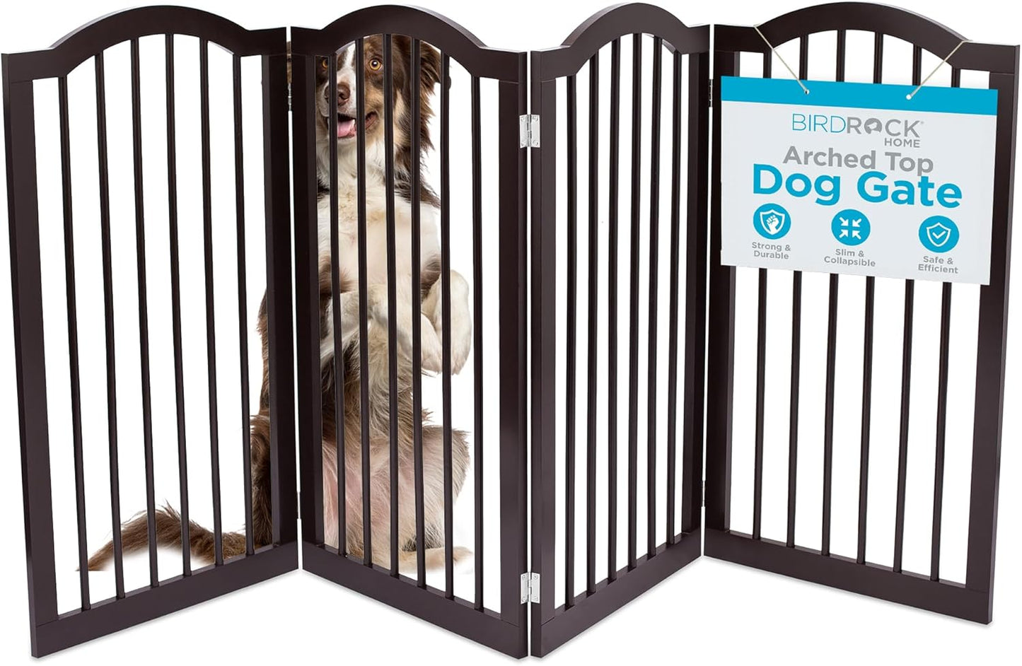 INTERNET'S BEST Arched Top Dog Gate | 4 Panel, 24" H Wooden Pet Barrier for Dogs or Cats | Freestanding Folding Room Divider for Doorways, Hallways, Stairs, and Porch | Portable, Extra Wide | Espresso