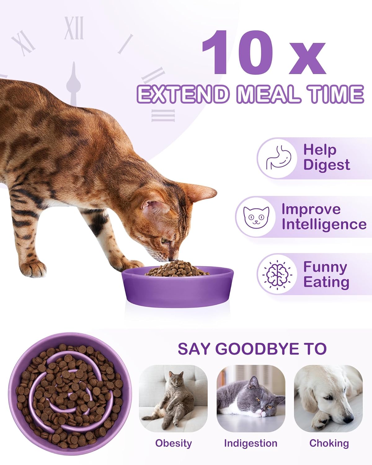 TRUVIC Ceramic Slow Feeder Dog Bowls Small Breed, 0.6 Cup Slow Feeder Cat Bowls for Fast Eaters, Ceramic Dog Food Dish no Black Chin, Puzzle Bowl for Small Dogs and Cats, White