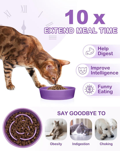TRUVIC Ceramic Slow Feeder Dog Bowls Small Breed, 0.6 Cup Slow Feeder Cat Bowls for Fast Eaters, Ceramic Dog Food Dish no Black Chin, Puzzle Bowl for Small Dogs and Cats, White