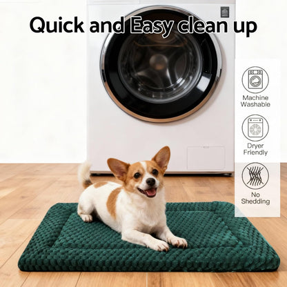 Dog Bed Mat, Reversible Crate Pad & Cute Dog Bed - Machine Washable Kennel Mat with Ultra Soft for Small Dogs (Cool/Warm), 24" x 18", Grey&Star