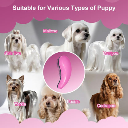 Small Dog Brush- Grooming Tool for Teddy, Yorkies, Maltese, Shih Tzu, Chihuahua - Puppy Hair Brush (Blue)