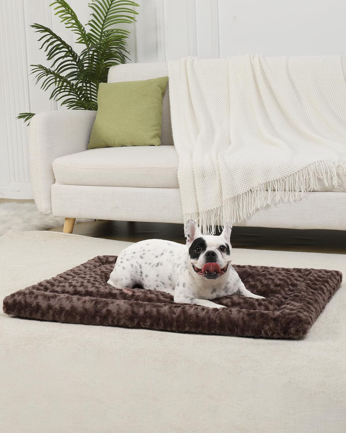 Washable Dog Bed Mat Ultra Soft Dog Crate Pad Comfy Fluffy Pet Kennel Beds Sleeping Mattress for Large Jumbo Medium Small Dogs, 36 x 23 Inch, Gray