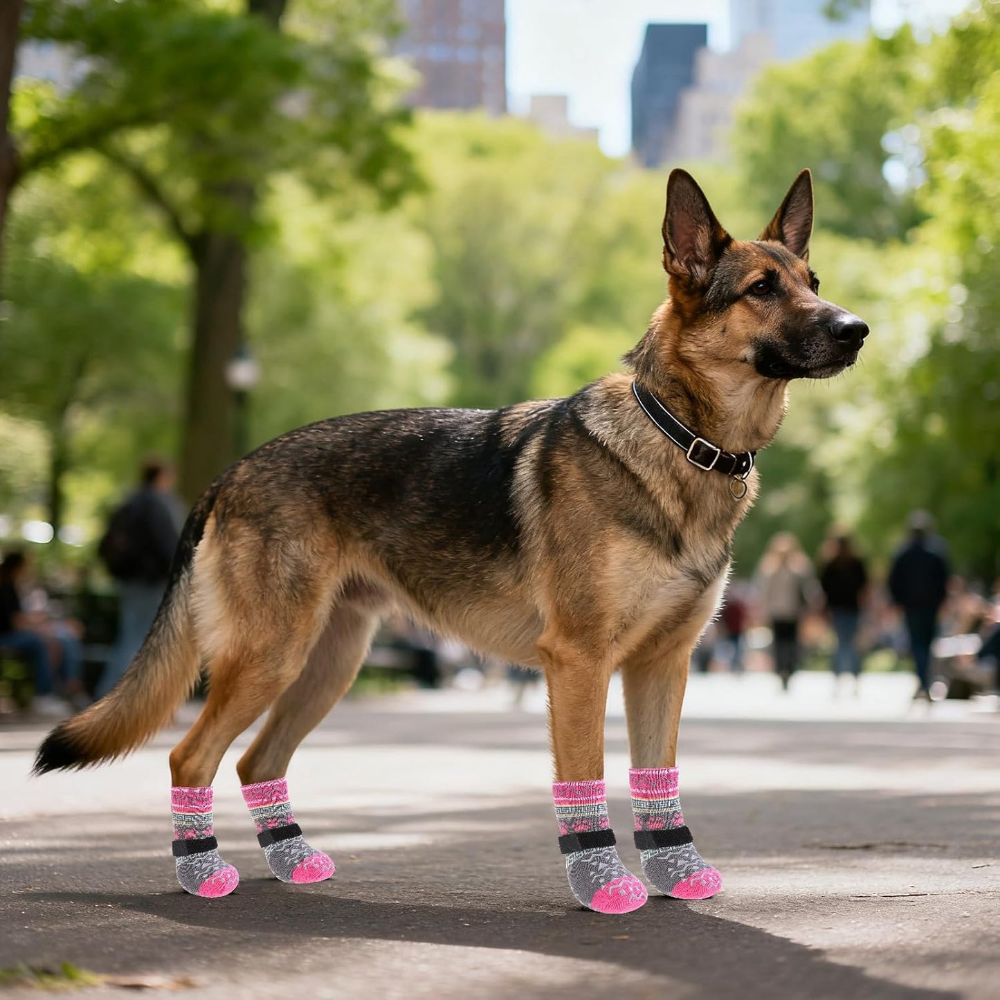 KOOLTAIL Dog Socks Shoes for Hot Pavement to Prevent Licking Paws, Winter Dog Boots&Paw Protector for Hardwood Floors Anti Slip,Traction Control Grip Booties for Small Medium Large Senior Dogs,Black M