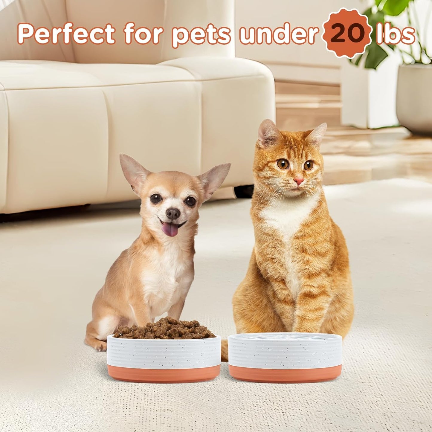 SPUNKYJUNKY Elevated Dog Bowls Ceramic, 6.1'' Dogs and Cat Food Water Bowls Raised with Non-Slip Bamboo Stand for Medium Sized Breed Microwave Dishwasher Safe - 28.7 OZ,Beige