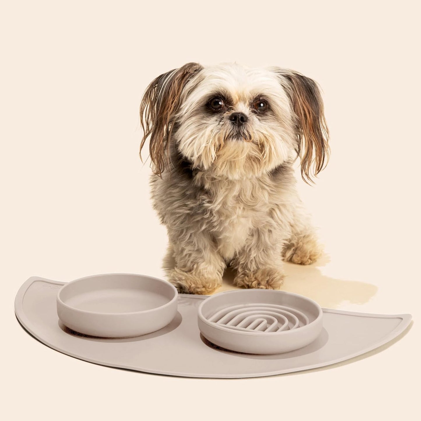 Should We Go? Slow Feeder for Dogs & Puppies, The Slowdown Bowl Silicone Slow Eating, Modern Lick Mat Design, Reduces Gulping, Fits 2 Cups, 7.5” Across x 1.5” Tall, Mealtime Challenge, Medium-Blush