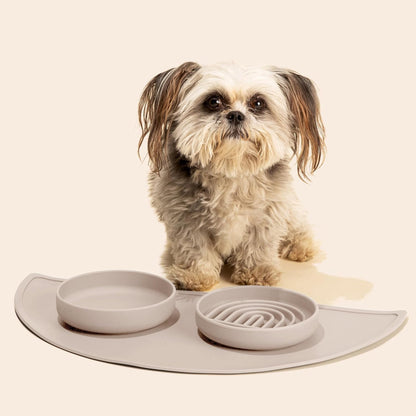 Should We Go? Slow Feeder for Dogs & Puppies, The Slowdown Bowl Silicone Slow Eating, Modern Lick Mat Design, Reduces Gulping, Fits 2 Cups, 7.5” Across x 1.5” Tall, Mealtime Challenge, Medium-Blush