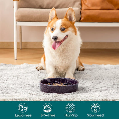 vancasso Ceramic Slow Feeder Dog Bowls, Puzzle Dog Food Bowls with Floral Maze, Anti -Slip Pet Food Dish for Small Breed, 0.6 Cups, Pink