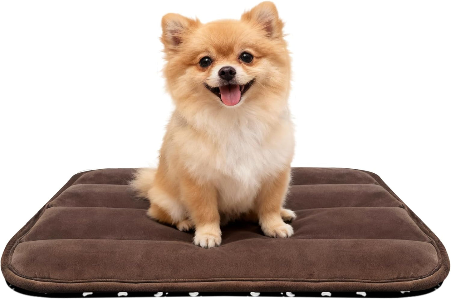 Dog Bed Mat, Reversible Crate Pad & Cute Dog Bed - Machine Washable Kennel Mat with Ultra Soft for Small Dogs (Cool/Warm), 24" x 18", Grey&Star
