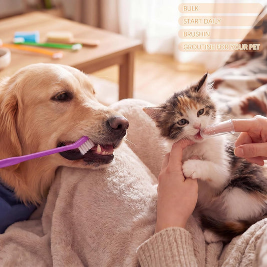 200 Pcs Dog Toothbrushes Bulk Dog Dental Kits 100 Dual Headed Dental Brushes 100 Finger Brushes 360 Degree Dogs Tooth Brushing Kits Easy Teeth Pet Cleaning Soft Care for Puppy Cats Supplies
