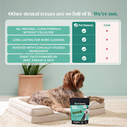 Pet Honesty Brush Buddies All Natural Dog Dental Treats for Dogs – Long Lasting Dental Sticks for Dogs, Teeth Cleaner, Breath Freshener, Plaque & Tartar Remover – Medium Sized Dogs (15 Count)