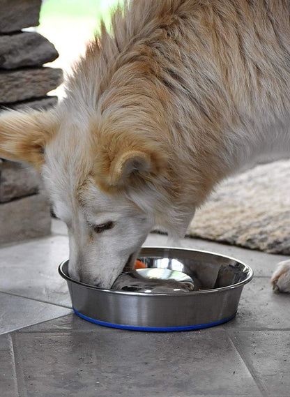 OurPet's DuraPet Slow Feed Premium Stainless Steel Dog Bowl, Silver (2040010301)