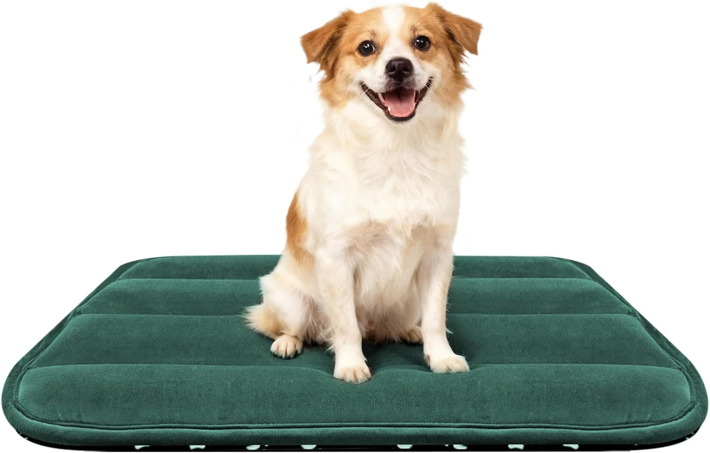 Dog Bed Mat, Reversible Crate Pad & Cute Dog Bed - Machine Washable Kennel Mat with Ultra Soft for Small Dogs (Cool/Warm), 24" x 18", Grey&Star