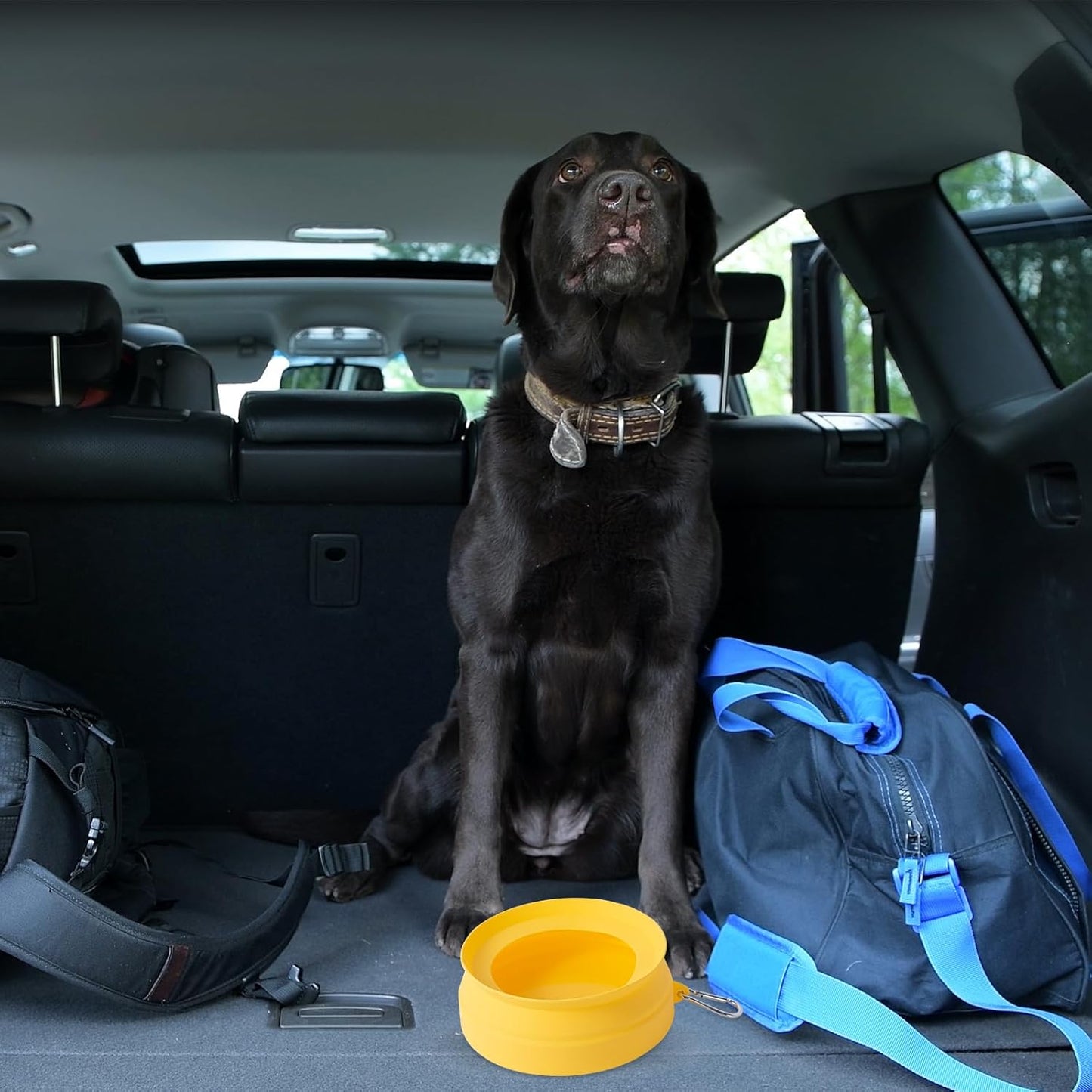 SLSON Spill Proof Dog Water Bowl for Cars,Collapsible No Splash Dog Travel Bowls Integrated Molding Portable Pet Bowl for Vehicle Road Trip Truck,RV,SUV,Boat Accessories (Cold Grey)