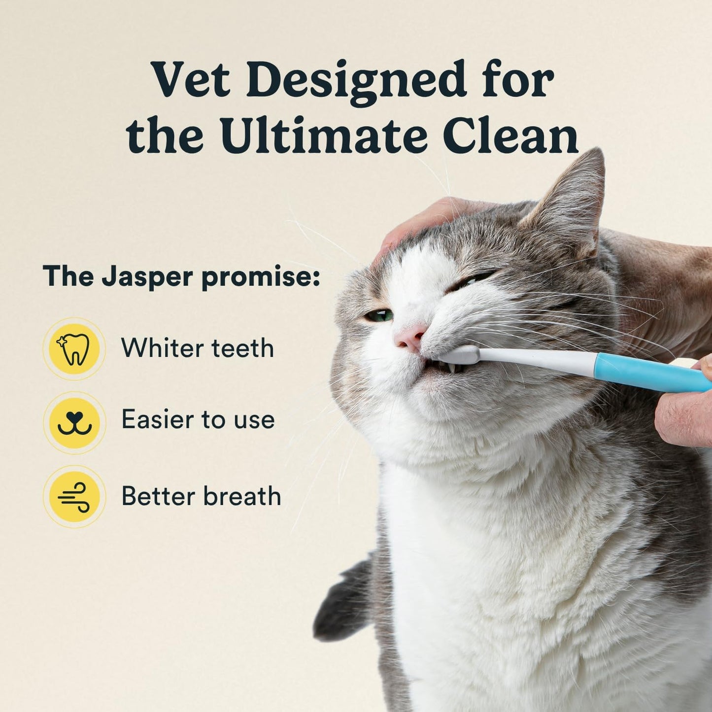 Jasper Microbrush Vet Approved Cat Toothbrush, Soft-Bristled Toothbrush Kit for Felines & Small Dogs, Non-Slip Handle with 2 Replaceable Tooth Brush Heads, Use with Cat Toothpaste, 2-Pack, Rose Pink