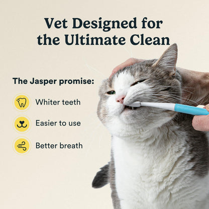Jasper Microbrush Vet Approved Cat Toothbrush, Soft-Bristled Toothbrush Kit for Felines & Small Dogs, Non-Slip Handle with 2 Replaceable Tooth Brush Heads, Use with Cat Toothpaste, 2-Pack, Rose Pink