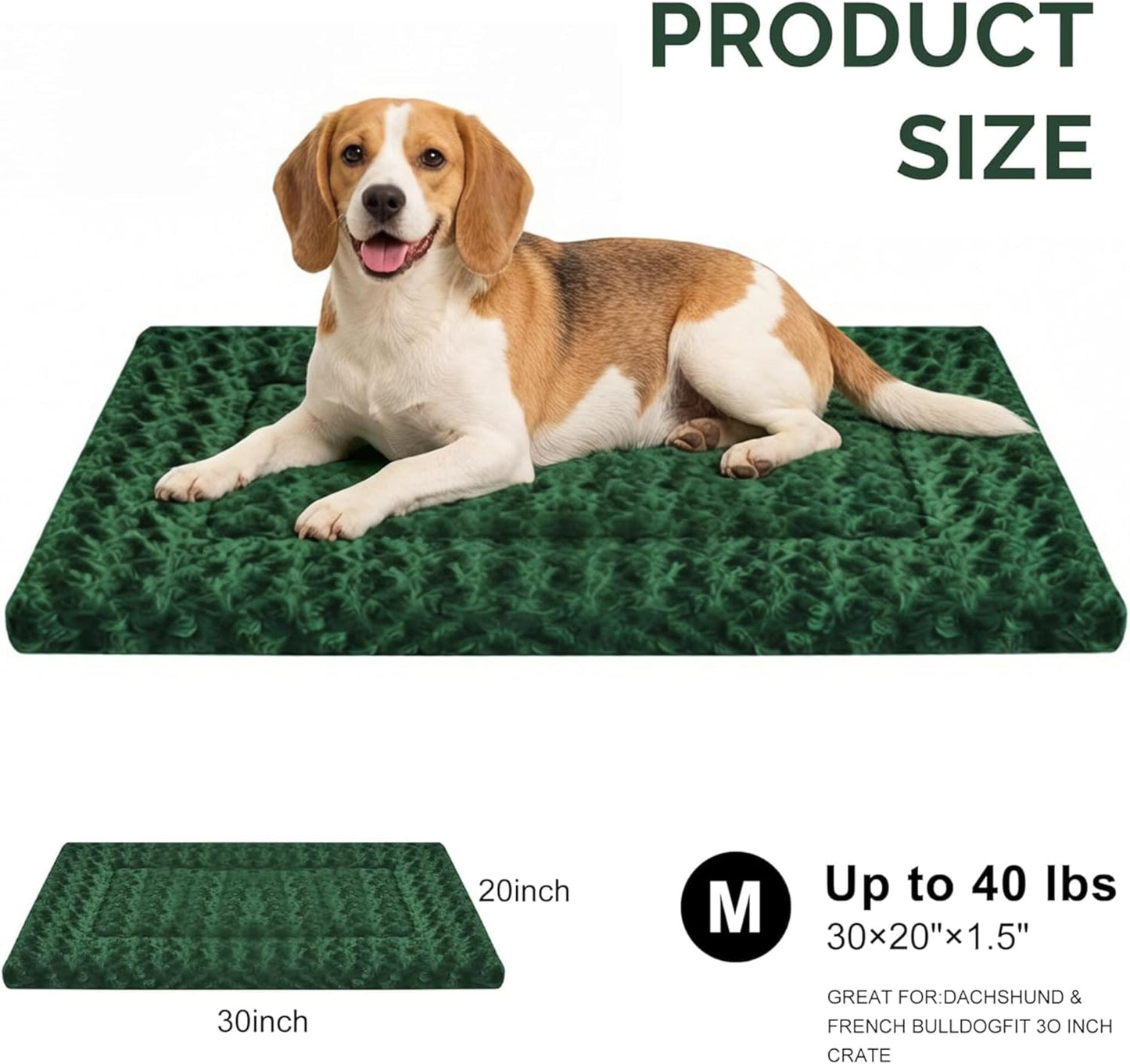 Dog Bed Mat, Reversible Crate Pad & Cute Dog Bed - Machine Washable Kennel Mat with Ultra Soft for Small Dogs (Cool/Warm), 24" x 18", Grey&Star