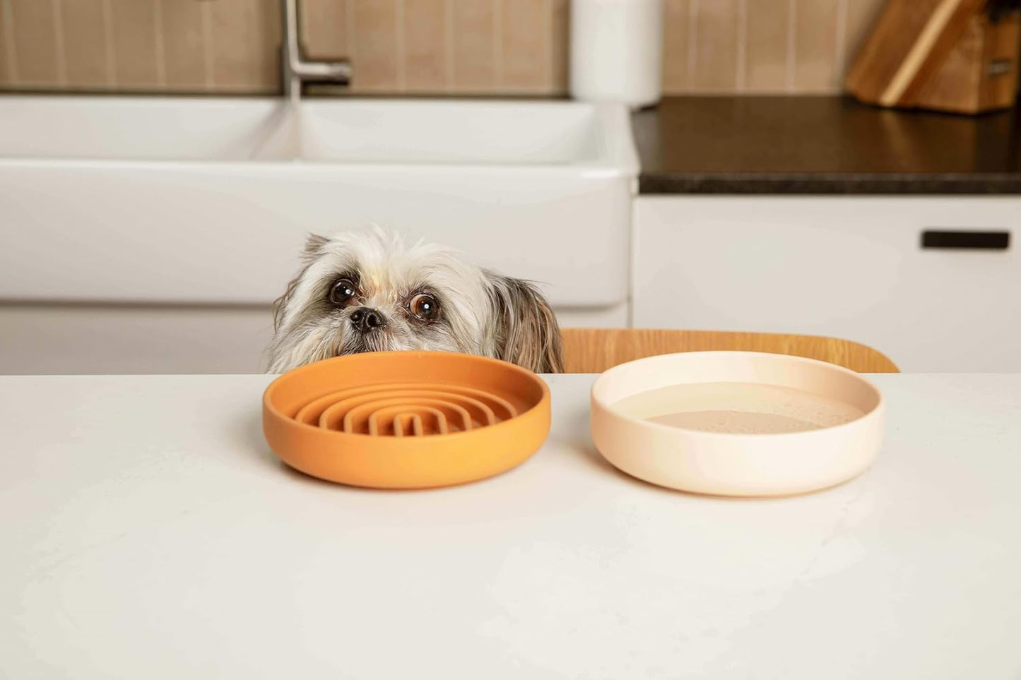 Should We Go? Dog Water Bowl - The Perfect Dish No-Spill, Less Mess Non-Tippable Water & Food Bowl, Pure Silicone with Suction Cup Fits 5 Cups 7.5" Across x 2.25" Tall, Ideal for All Pets, Medium-Sage