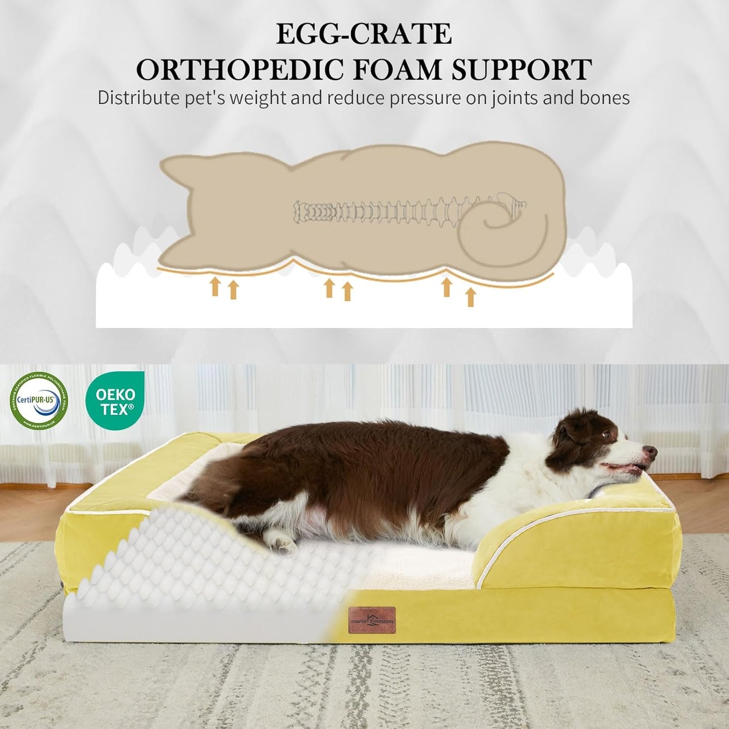 Comfort Expression Orthopedic Dog Bed for Extra Large Dogs 42x30 Inch, Waterproof Egg Crate Foam XL Pet Bed with Removable Bolsters, Dog Couch with Washable Cover & Non-Slip Bottom, Grey - Colors B