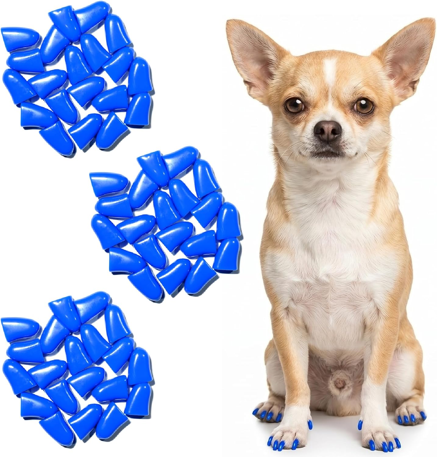 zetpo Dog Nail Caps & Claw Caps (60 pcs) - Anti Slip Dog Toe Grips & Covers for Hard Floors - Instant Traction & Mobility Support for Senior Dogs - Stops Scratches & Reduces Floor Noise (Blue, XXL)