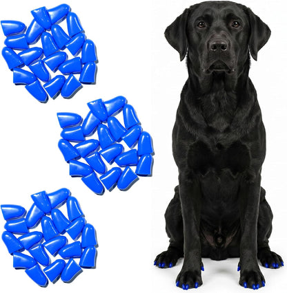 zetpo Dog Nail Caps & Claw Caps (60 pcs) - Anti Slip Dog Toe Grips & Covers for Hard Floors - Instant Traction & Mobility Support for Senior Dogs - Stops Scratches & Reduces Floor Noise (Blue, XXL)