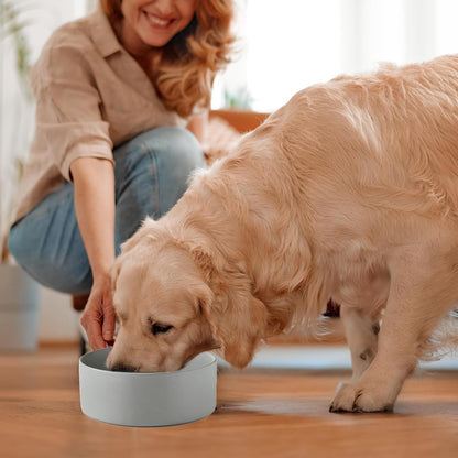 6'' Ceramic Raised Dog Bowl - 30Oz Dog Food & Water Bowl with Elevated Non-Slip Bamboo Stand, Dishwasher & Microwave Safe, Anti Vomiting Heavy Duty Pet Bowl for Small and Medium Dogs, White