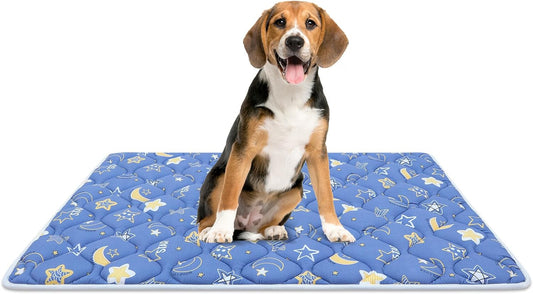 Bubble bear Dog Crate Mat - Ultra Soft, Washable & Anti-Slip Kennel Pad for Small/Medium/Large Dogs, Dark-Hued to Hide Stains (48"x30")