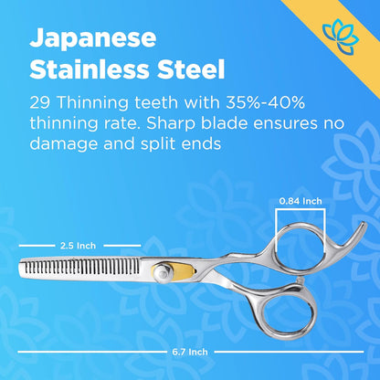 Equinox Dog Grooming Scissors & Deshedder - 7 in 1 Pet Grooming Scissors Set with undercoat brush - Curved Dog Scissors with safety tips - Includes Thinning & Rounded Shears - For dogs & cats