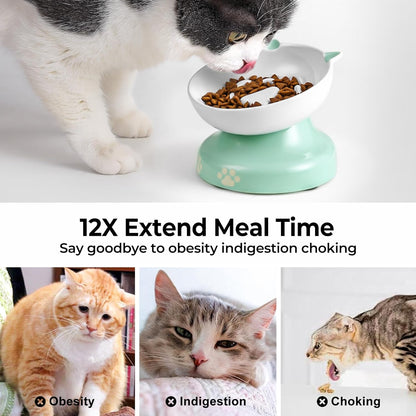 Y YHY Ceramic Cat Slow Feeder, Elevated Dog Food Bowl Tilted Design, Slow Feeder Bowl no Black Chin, Cat Shape for Dry and Wet Food