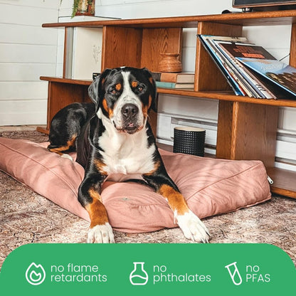 Molly Mutt Medium to Large Dog Bed Cover- Forever Young Print - Measures 27”X36”X5’’ - 100% Cotton - Durable - Breathable - Sustainable - Machine Washable Dog Bed Cover (Dd82b)