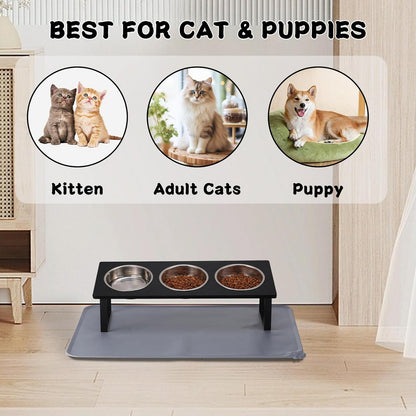 Upgraded Elevated Cat Bowls with Food Mat,15°Tilted Stand Anti Vomiting Raised Cat Dishes for Food and Water,2 Stainless Steel Bowls for Cats and Puppy