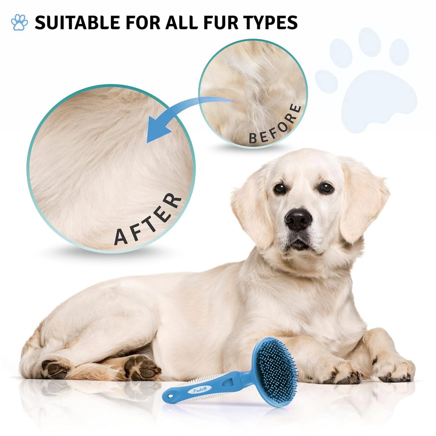 Round Bristle Pet Brush for Dogs and Cats - Soft Dog Brush for Grooming Short or Long Hair - Gentle Tool for Sensitive Skin Removes Dander, Dirt, and Detangles (Purple)