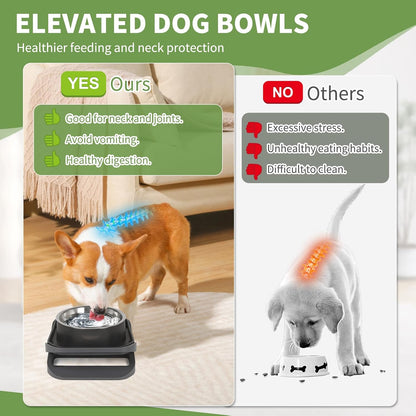 Elevated Dog Bowls, Stainless Steel Raised Dog Bowl with No Spill Dogs Food & Water Bowl for Small Medium Breed, Neater Dogs Feeding Station Non-Slip Water Bowls Set of 2 with Stand for Pet